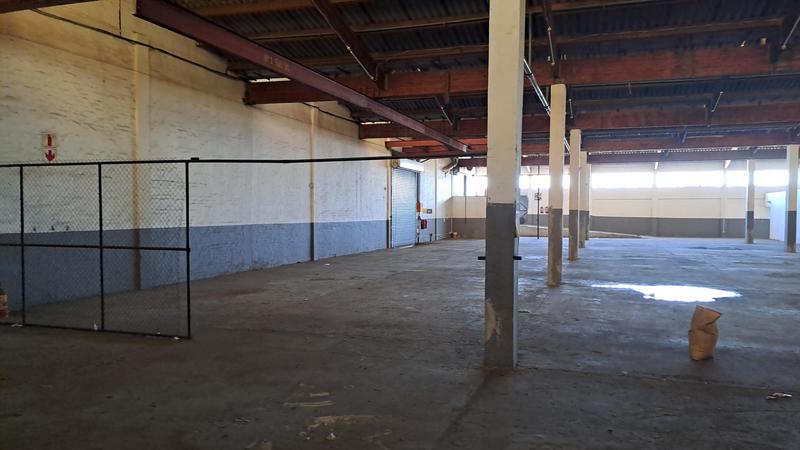 To Let commercial Property for Rent in Ferguson Eastern Cape